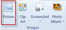 Insert Picture